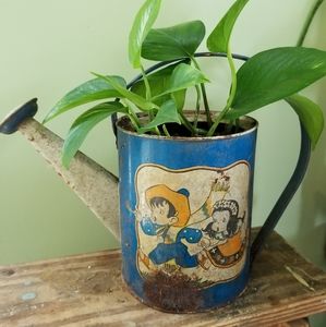 Live Pothos Houseplant in Antique Watering Can